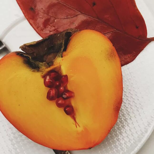 陈晓卿寿司善之味