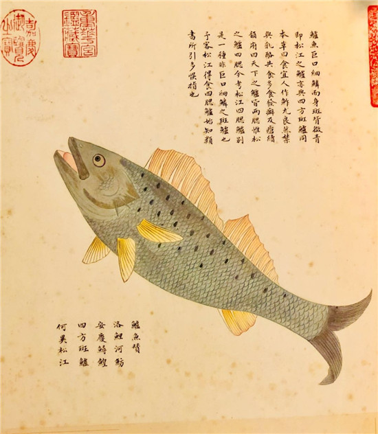 舌尖3里的鲈鱼菜有什么硬伤